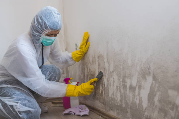 Best Crawl Space Mold Removal  in Richville, OH