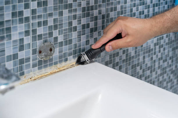 Trusted Richville, OH Mold Removal Experts
