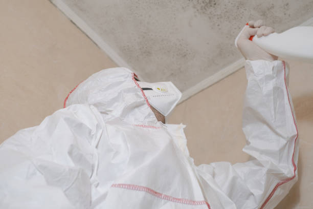 Crawl Space Mold Removal in Richville, OH